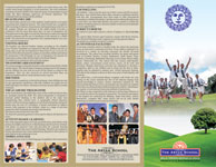 3 Fold Flyers